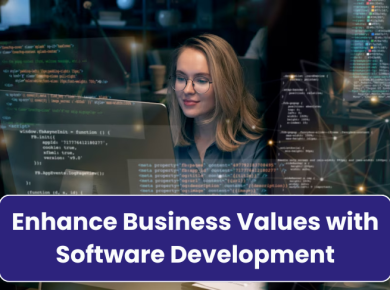 Enhance Business Values with Software Development